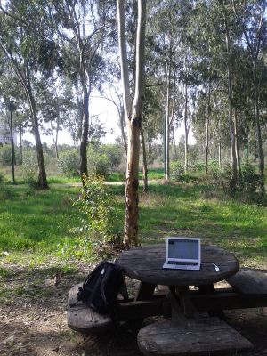 Laptop in the nature
