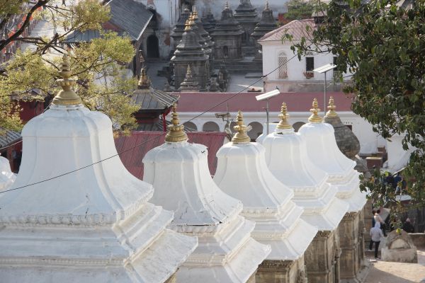 Temple grounds