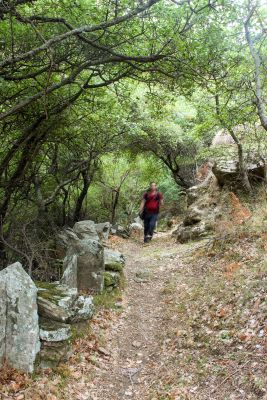 Slow exposure, me walking through the trail