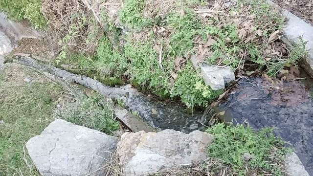 Streams